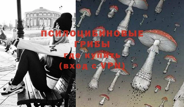 Альфа ПВП Покров
