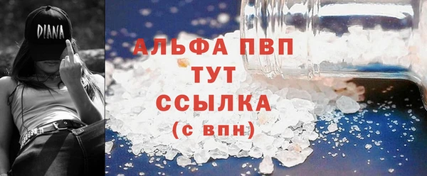 дурь Покачи