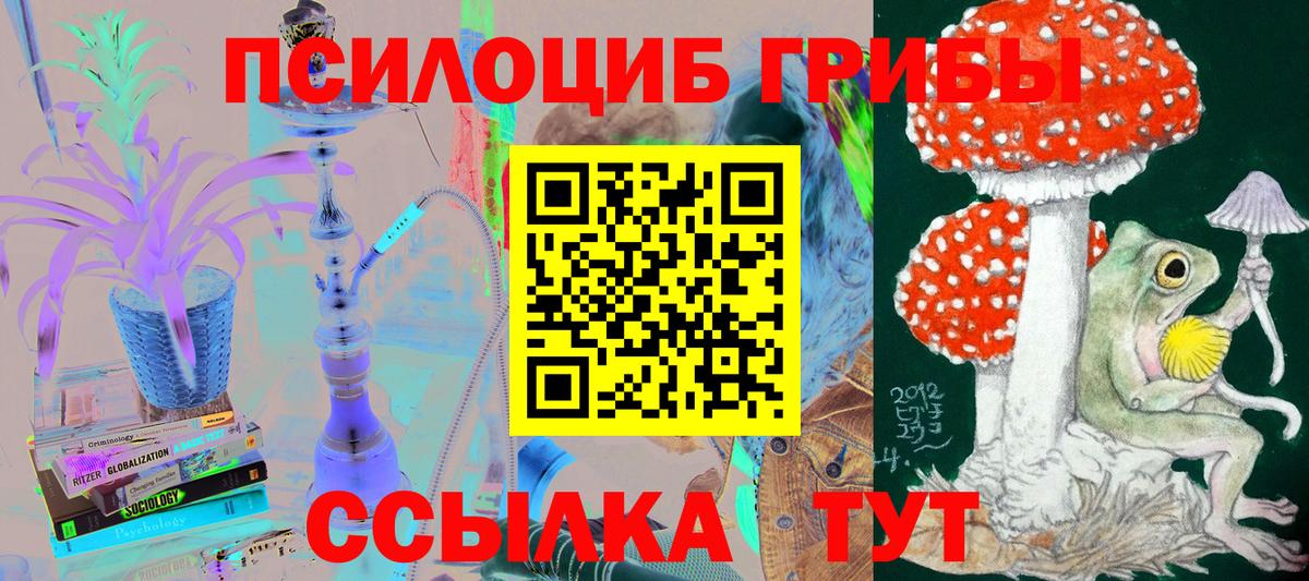 Галлюциногенные грибы Psilocybe  Вход с VPN  Псилоцибиновые грибы ЛСД  Среднеуральск 